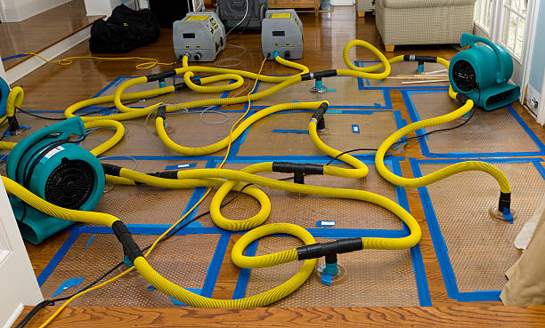 Professional Water Extraction technician working in Littlerock, CA